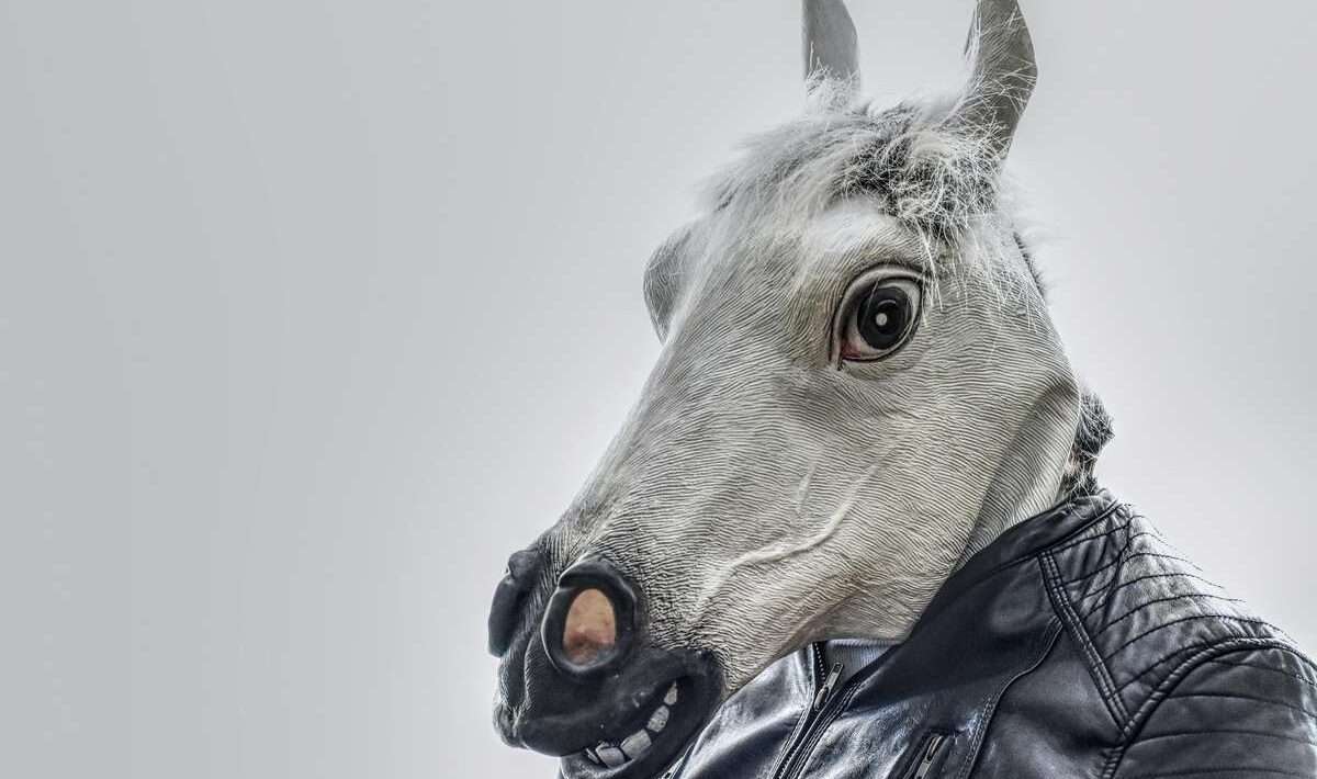 Sociálne médiá: Marketing na Facebooku, Instagrame, TikToku a ďalších platformách