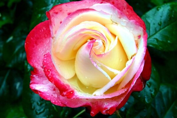 Opálenie bez rizika: Spotrebiteľská ochrana a zavádzajúce tvrdenia o soláriách