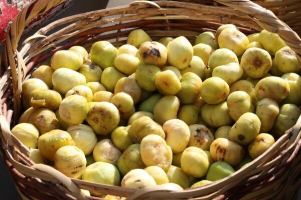 Predaj kontaktných databáz B2B: Súlad s GDPR, overenie pôvodu a súhlasu