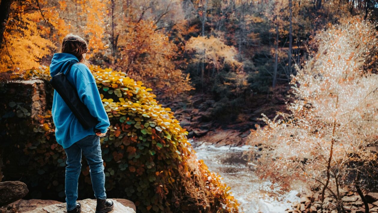 Dane na splátky: Ako správne požiadať Finančnú správu